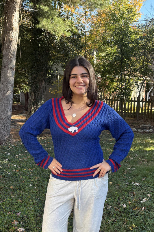 Red and Royal Blue Buffalo V-Neck Sweater