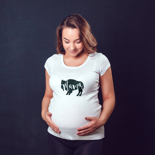 Buffalo Mama bear shirt | Buffalo NY gift for mom | maternity shirt baby announcement | WNY baby shower gift | pregnancy gift | mom shirt