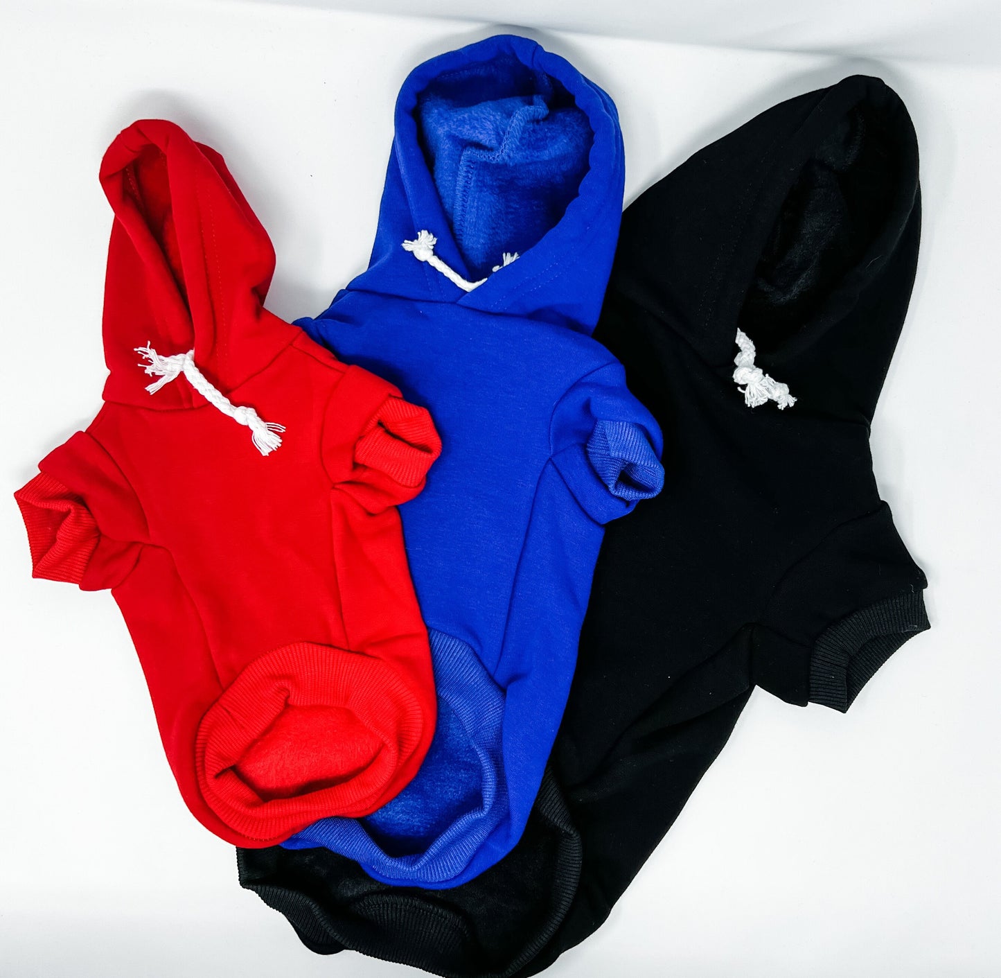 Buffalo Football Dog Hoodie
